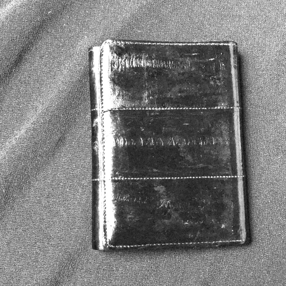 Eel skin wallet